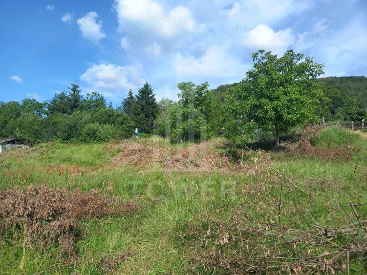 Teren de 3673 mp, în Fântânele