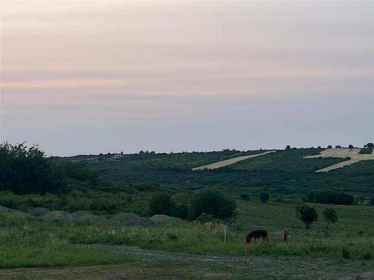 Teren Construcții intravilan de 903 mp, în Paleu
