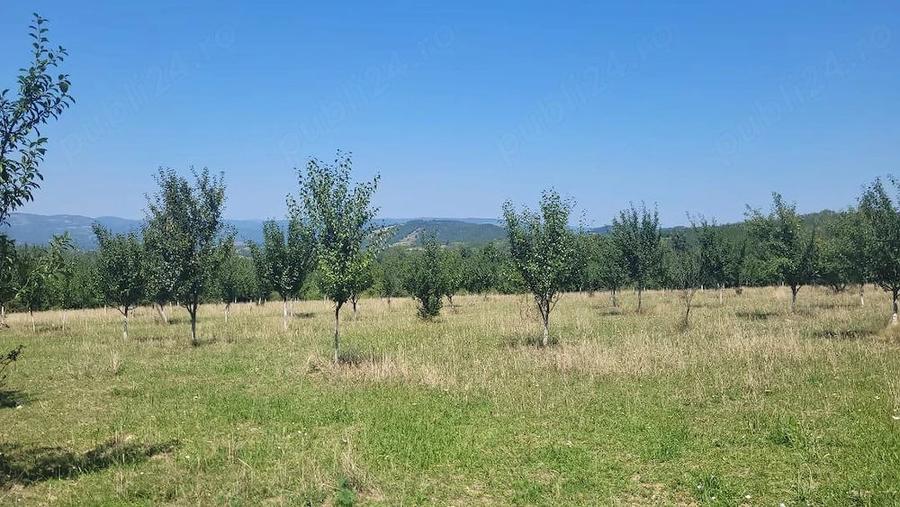 Teren în Prigor