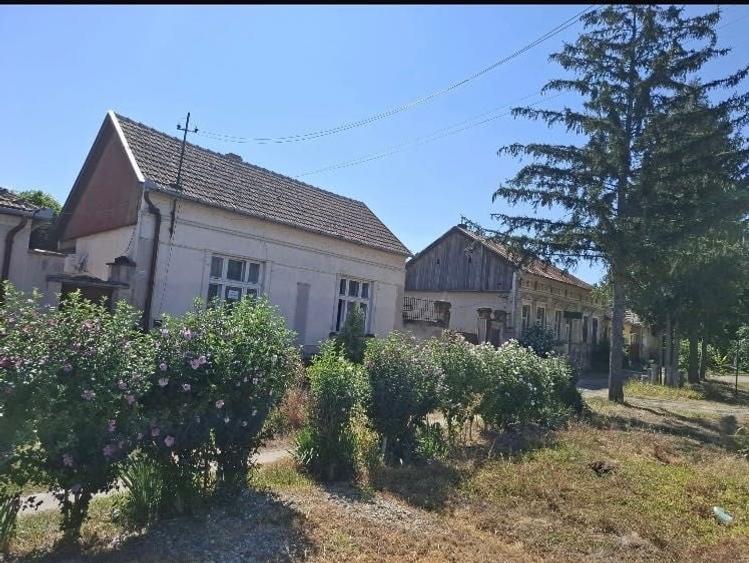 Casă cu 3 camere în Diosig