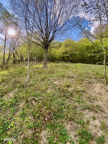 Teren de 4360 mp, în Valea Doftanei