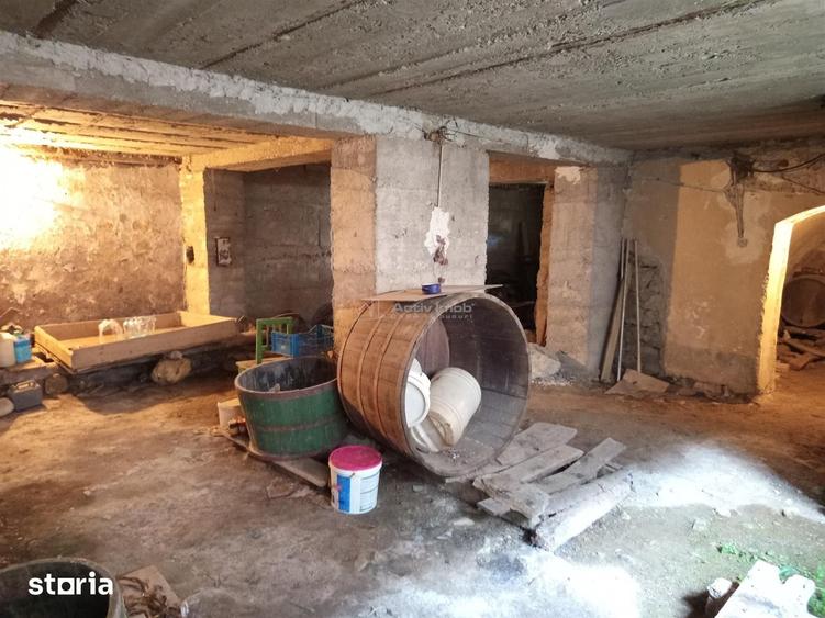 Casă cu Teren 1439 Mp în Ciclova Română