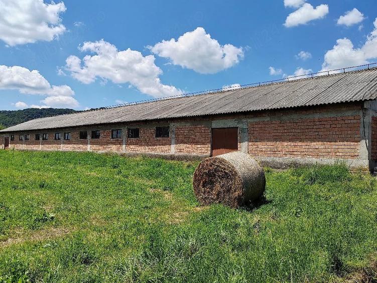 Spațiu comercial, de 3,000 mp, în Bunești (Mălureni)