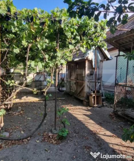 Casa cu 3 camere, anexe, curte ?i gradina - Boian (Cluj) - 7