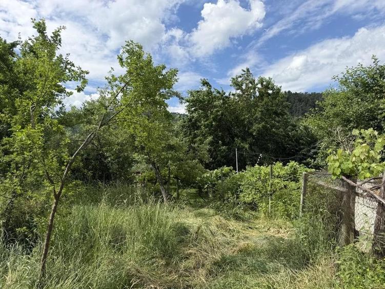 Casă cu Teren 800 Mp în Central