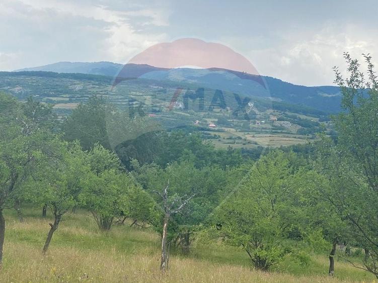 Teren Construcții intravilan de 12458 mp, în Văleni (Meteș)