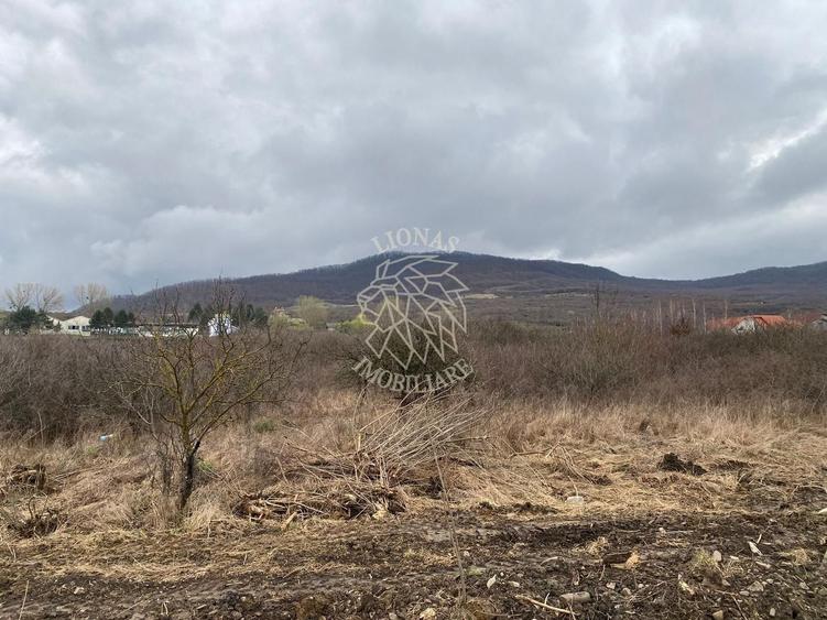 Teren Construcții intravilan de 12719 mp, în Crainimăt