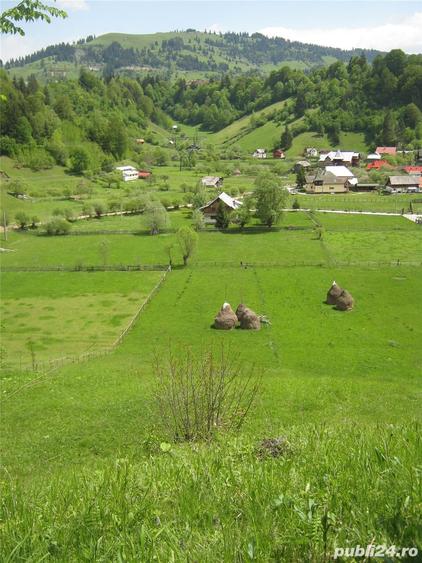 Teren de 2800 mp, în Dâmbovicioara