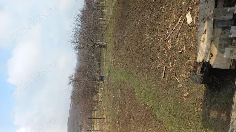 Casă cu 3 camere cu Teren 751 Mp în Cuvin