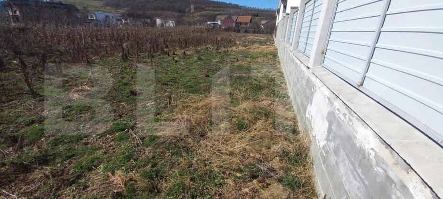 Teren Construcții intravilan de 1000 mp, în Viișoara