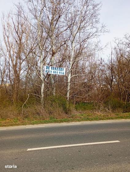 Spațiu comercial, în Central