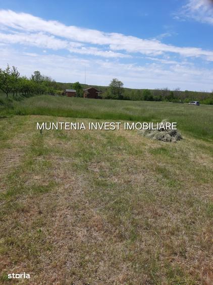 Teren de 630 mp, în Albota