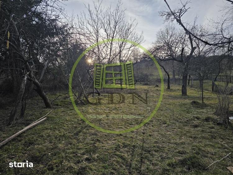 Casă cu 4 camere cu Teren 1000 Mp în Cărpinet