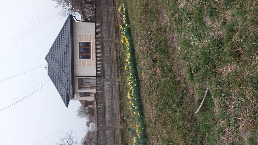 Casă cu 3 camere cu Teren 5000 Mp în Valea Vinului