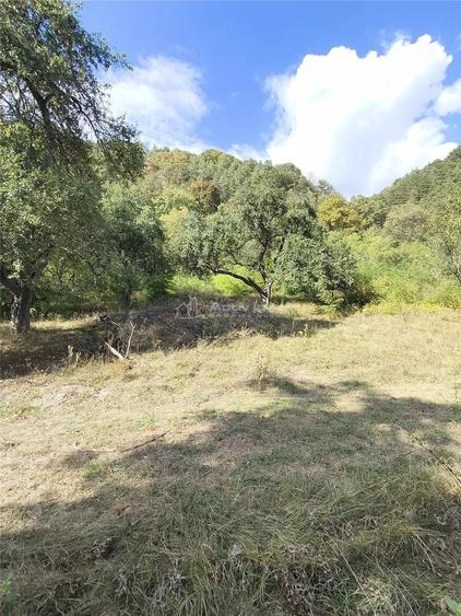 Teren de 2500 mp, în Colonia Tălmaciu