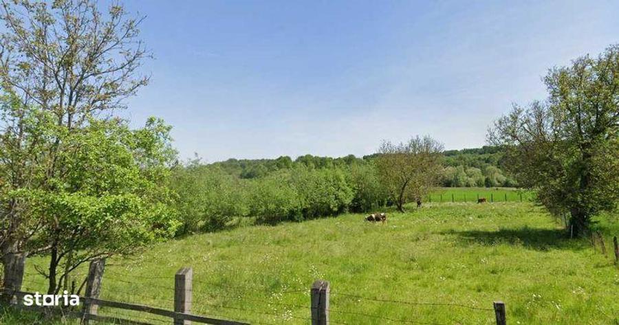 Teren de 2200 mp, în Cacica