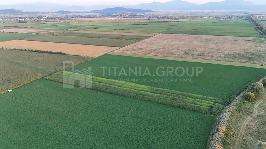 Teren agricol extravilan de 8700 mp, în Bod