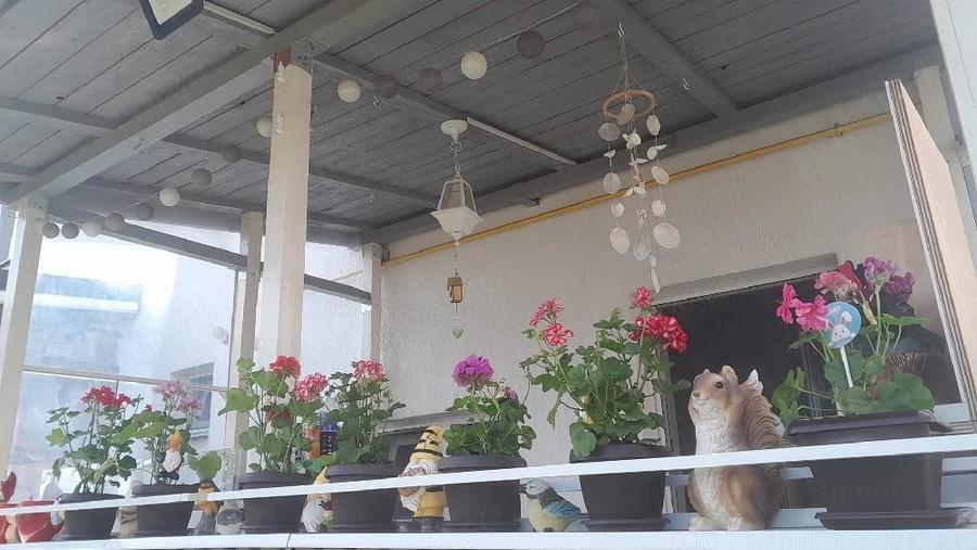 Casă cu 3 camere cu Teren 250 Mp în Berceni