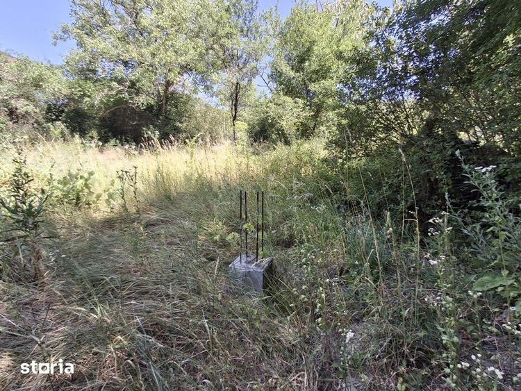 Teren de 1511 mp, în Podgoria