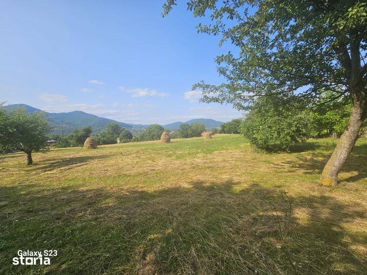 Teren de 1000 mp, în Alexandru cel Bun