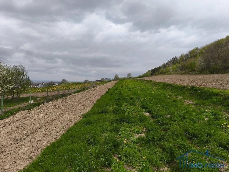 Teren de 8300 mp, în Măriței