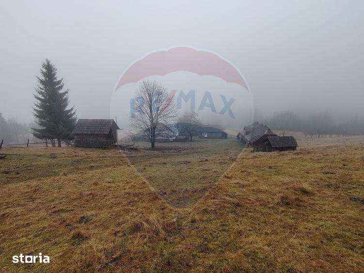Teren de 26238 mp, în Dorna-Arini