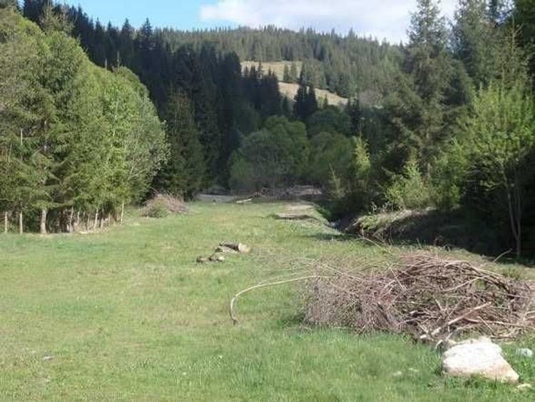 Spațiu comercial, în Ortoaia