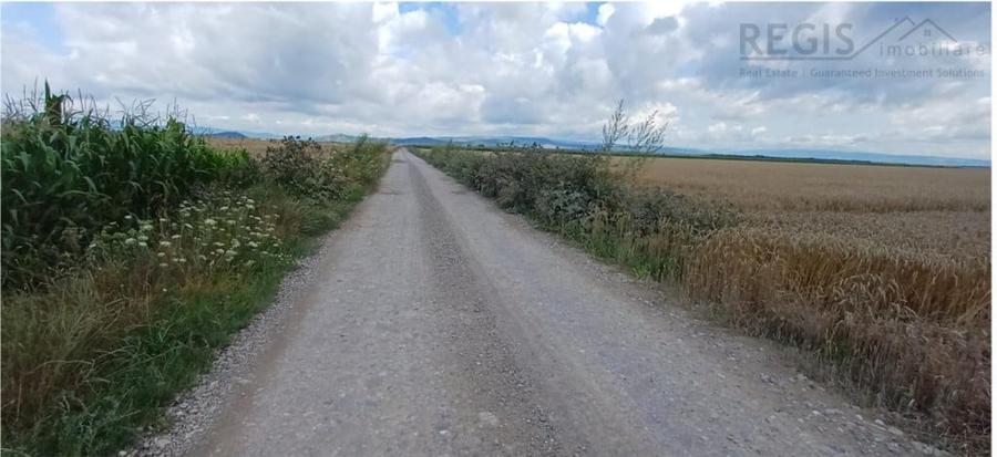 Teren de 39600 mp, în Hărman