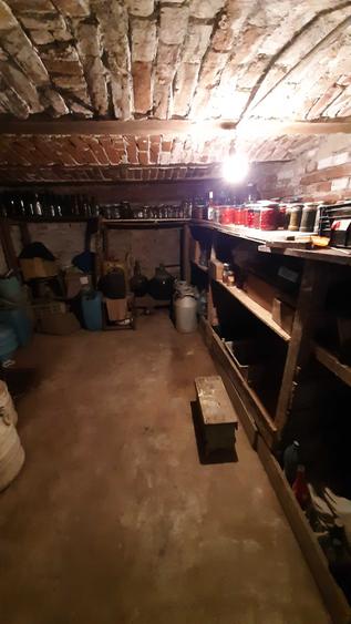 De vanzare casa, curte si gradina in ORASTIE - 1