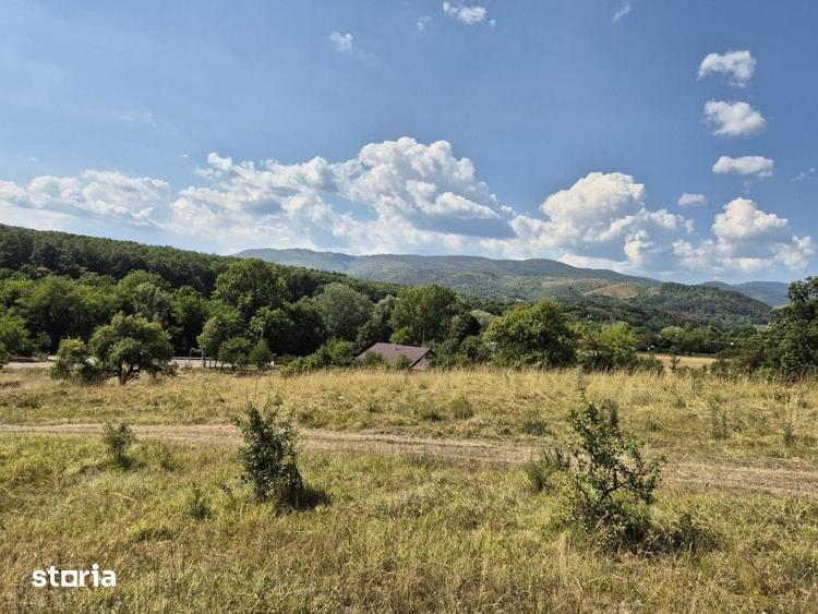 Teren de 13000 mp, în Runcu