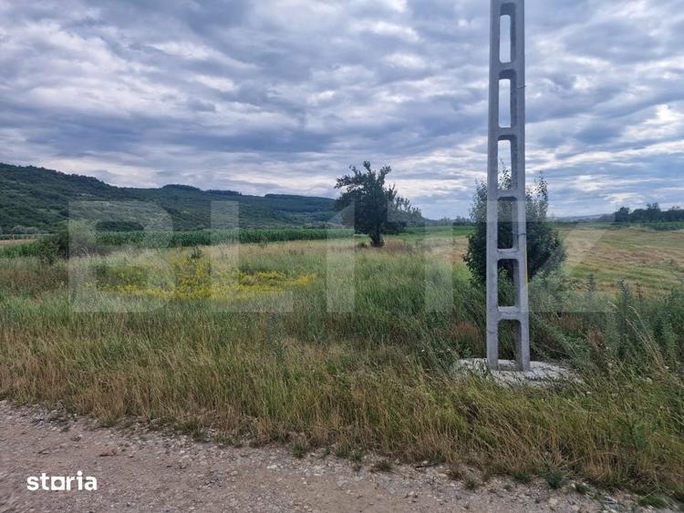 Teren de 4300 mp, în Zorilor