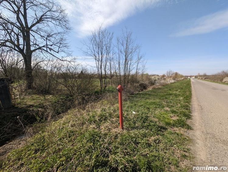 Teren de 22500 mp, în Balinț