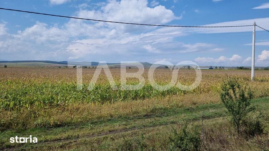 Teren de 28000 mp, în Central