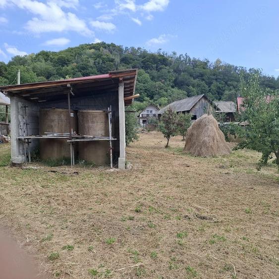 Teren de 7500 mp, în Cărpeniș