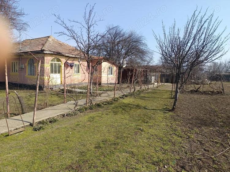 Vand casa sat Ro?ioru - 3