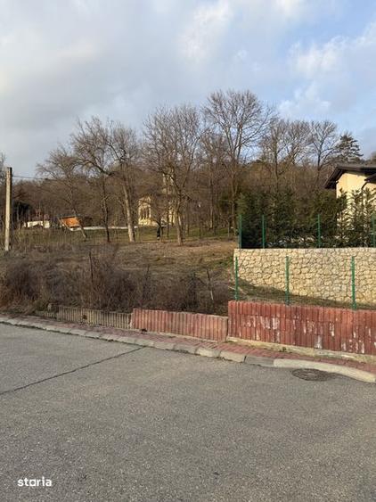 Teren unic Cartier Kranz Stefanesti(100m biserica Bratienilor) - 2