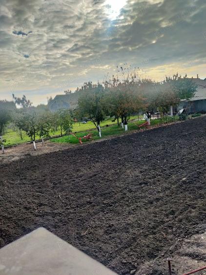 Teren de 630 mp, în Șofronea