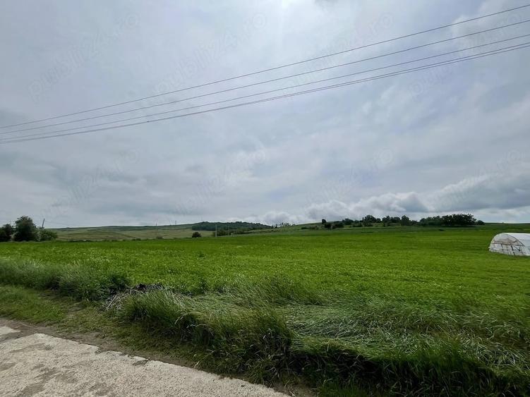 Teren de 10000 mp, în Central