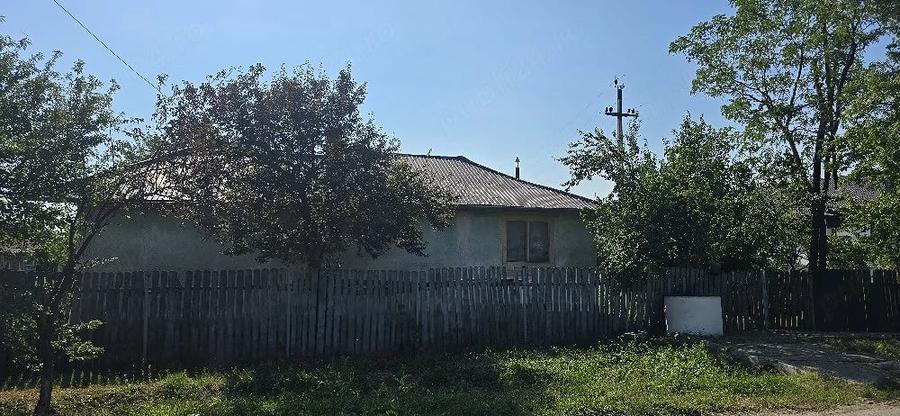 Casă cu 4 camere cu Teren 1952 Mp în Clondiru