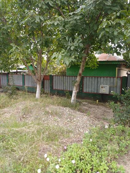 Casă cu Teren 1000 Mp în Central