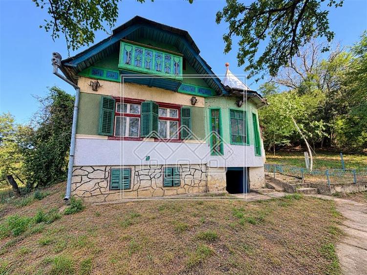 Casă individuală cu 7 camere cu Canalizare în Nou Săsesc