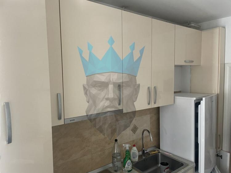 Apartament 2 Camere Parcul Carol Tineretului Bucuresti - 12