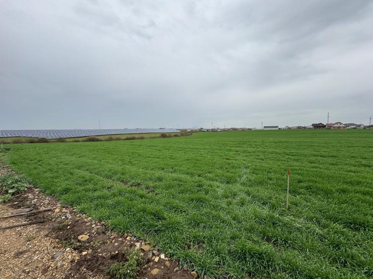 Teren intravilan 500m^2 in Livada de Bihor - 4