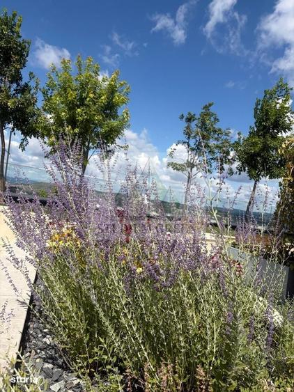 Penthouse | Etaj 14 | Seasons | Direct de la Dezvoltator! - 1