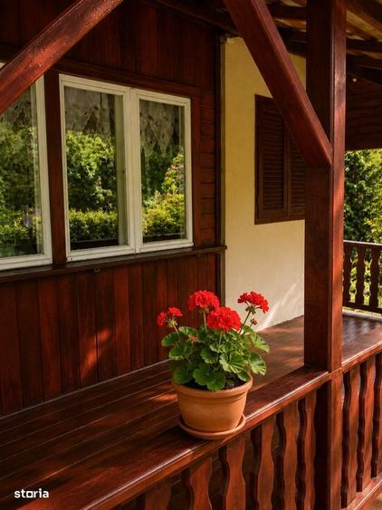 Casa de vacanta in Campu Cetatii,teren 2.400 mp, langa rau si padure - 7
