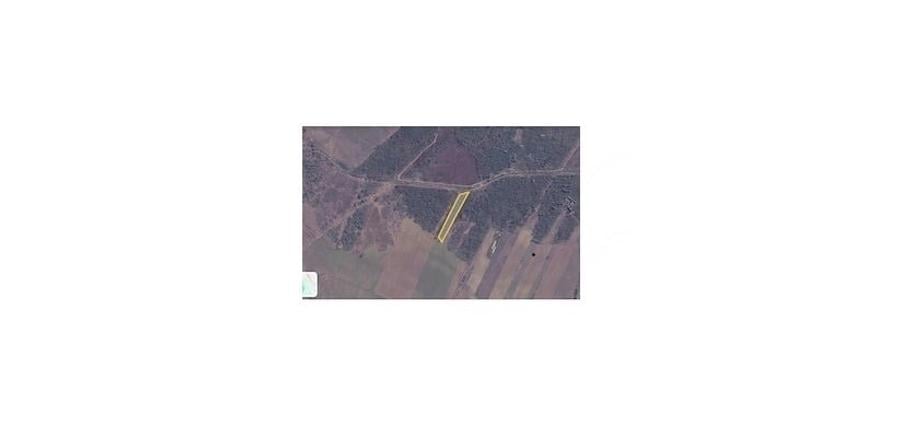 Teren extravilan de 5000 mp, în Șimian