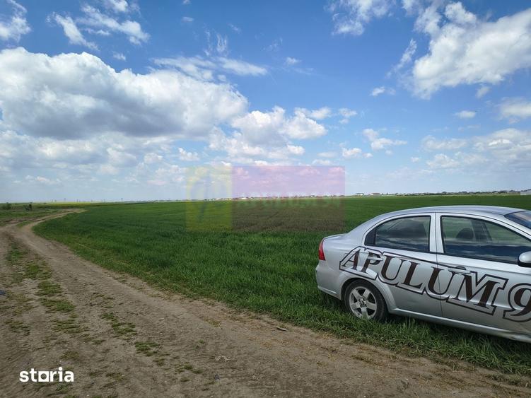 Teren de 12450 mp, în Cernica