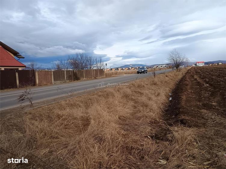 Teren de 9000 mp, în Est