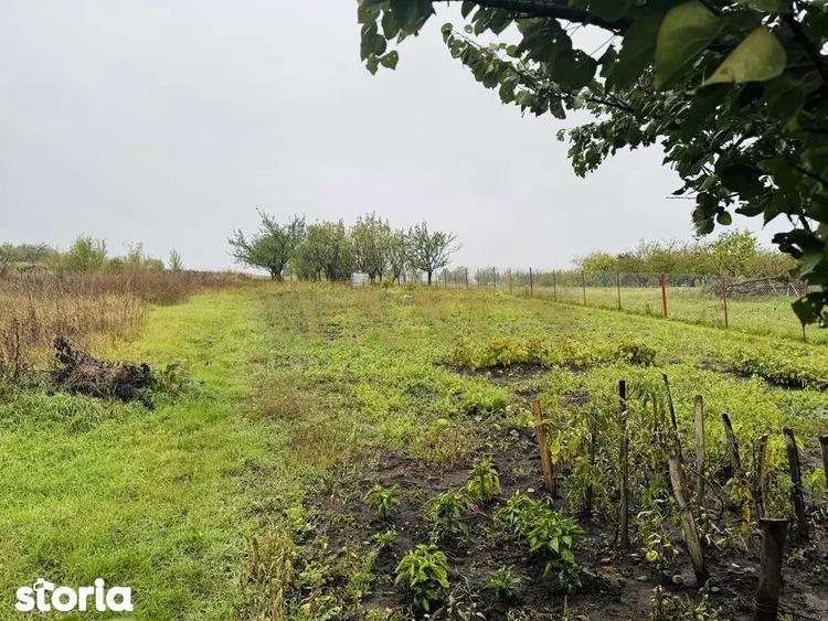 Casă cu 3 camere cu Teren 1000 Mp în Apahida