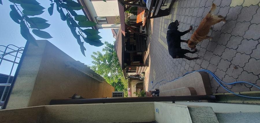 Casă cu 6 camere cu Teren 500 Mp în Berceni